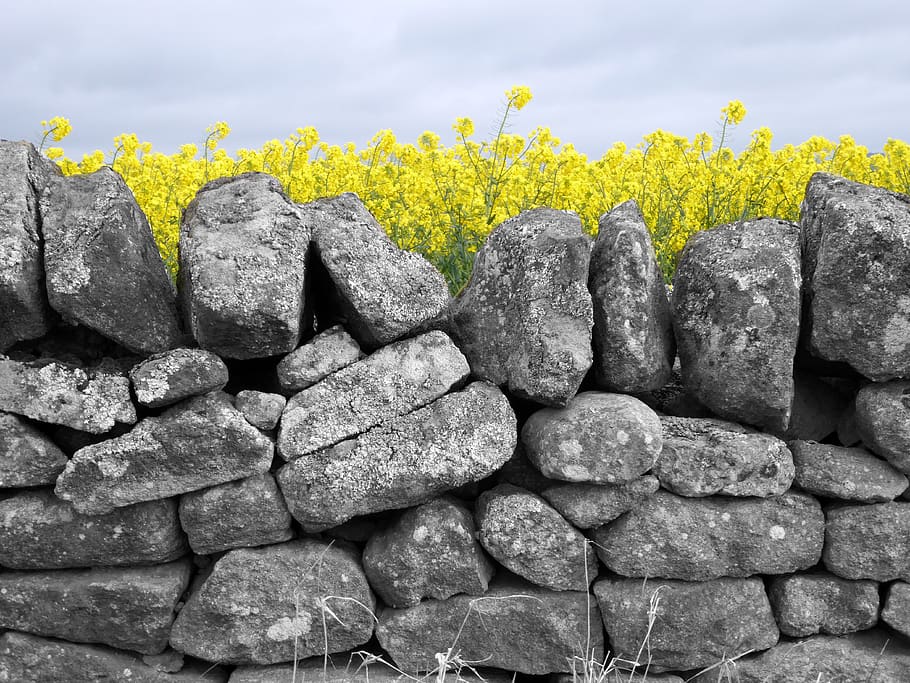 landscape, black and white, solid, rock, rock - object, nature HD wallpaper