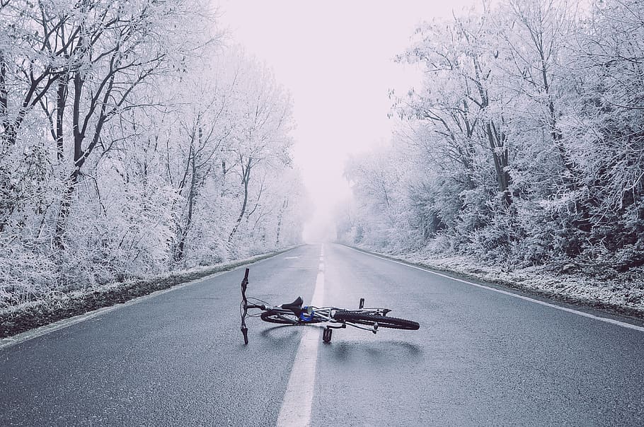 bicycle on road between trees photography, winter, frozen, asphalt, HD wallpaper