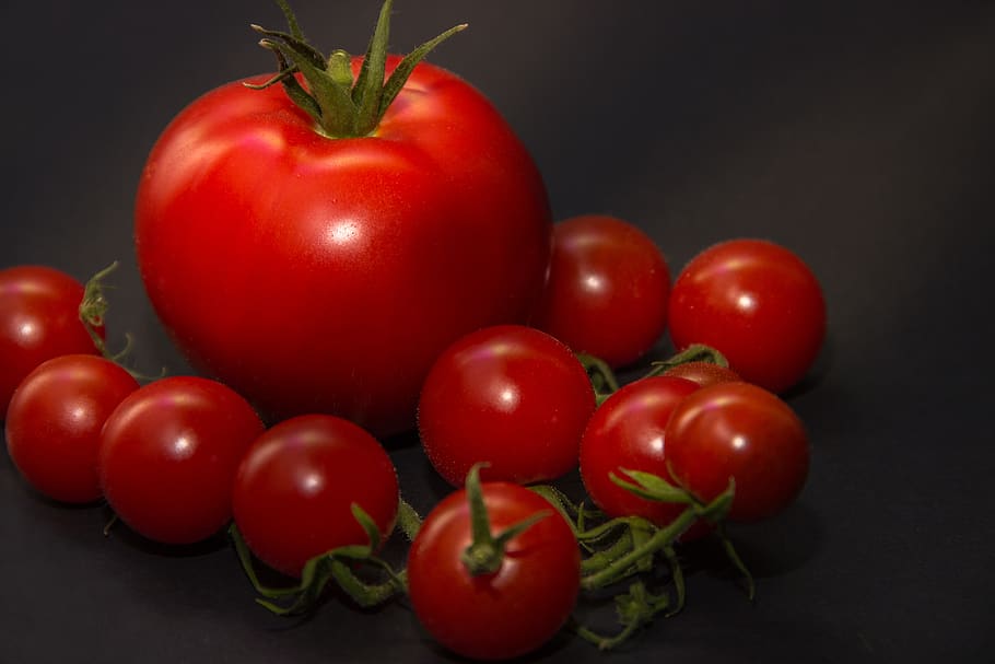 tomatoes, red, green, stalk, macro, close up, vegetables, food HD wallpaper