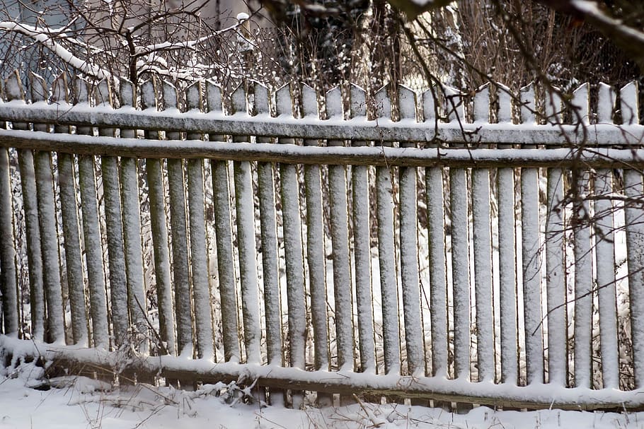 winter, snow, frost, tree, sprig, the fence, village, rural fence, HD wallpaper