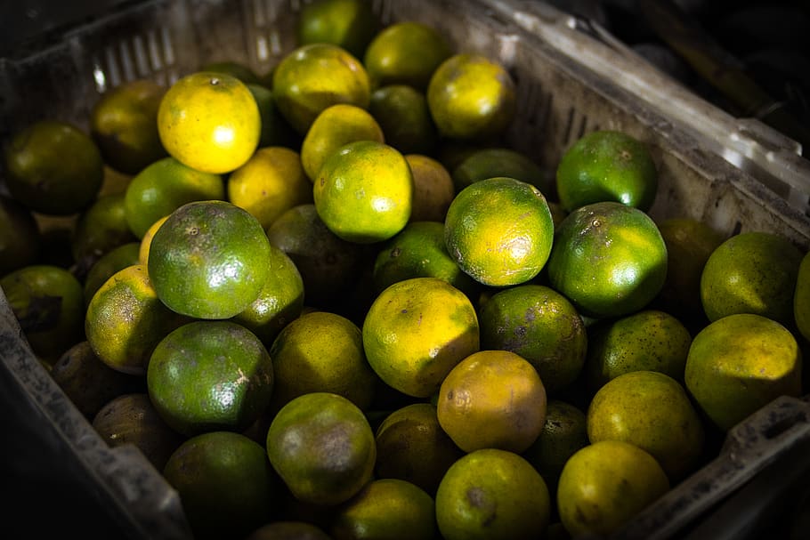 Green Calamansi Fruit, calamondin, close-up, container, lime, HD wallpaper