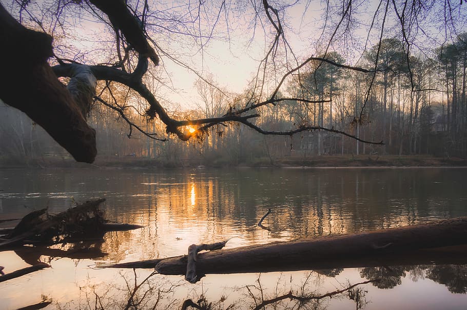 sunrise, river, reflection, trees, morning, misdirection, chattahoochee HD wallpaper
