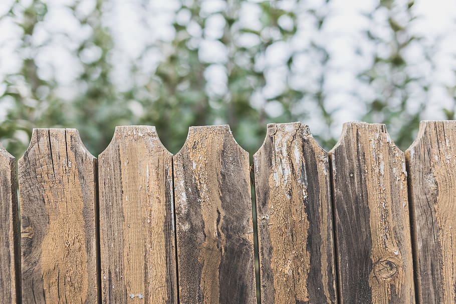 romania, burry, wall, trees, green, lumber, bokeh, folk, old HD wallpaper