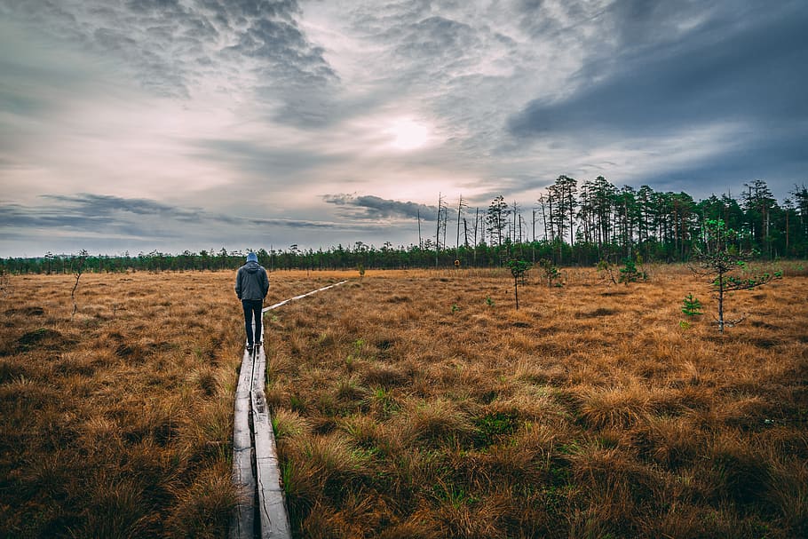 Field walk