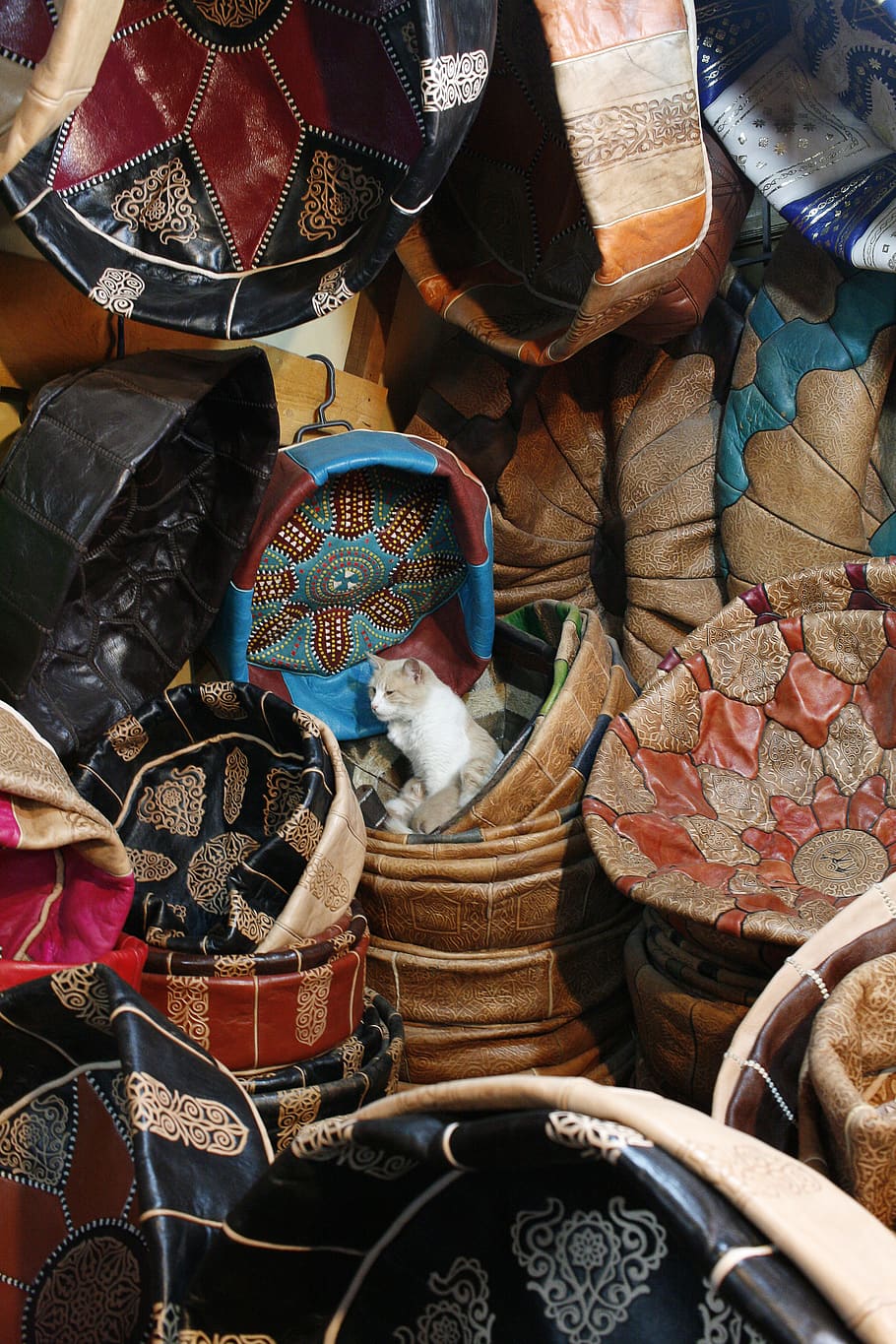 assorted textiles, apparel, clothing, cat, mammal, animal, pet HD wallpaper