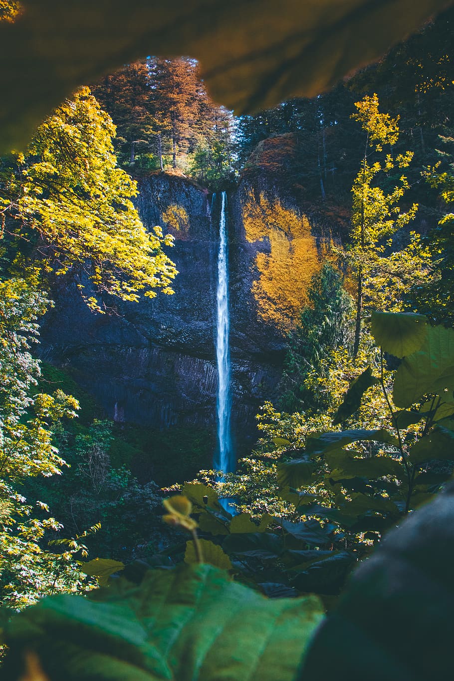 waterfalls surrounded with trees, leaf, leaves, cliff, rock, outdoors HD wallpaper