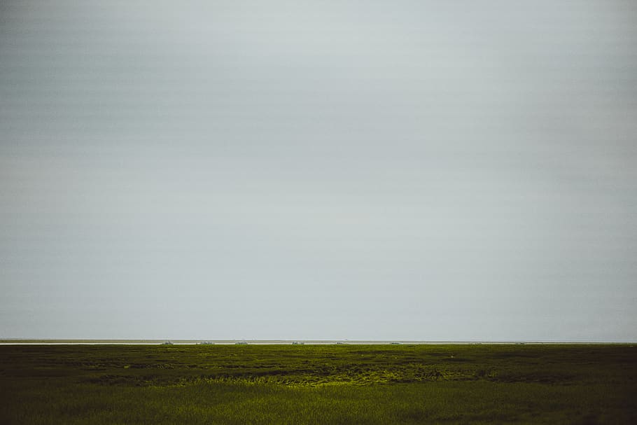 green, the grass, melancholy, landscape, field, environment HD wallpaper