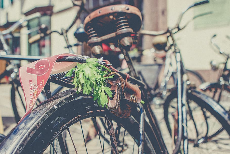 bicycle, tire, old, rusty, green, leaves, leather, wallet, pocket HD wallpaper