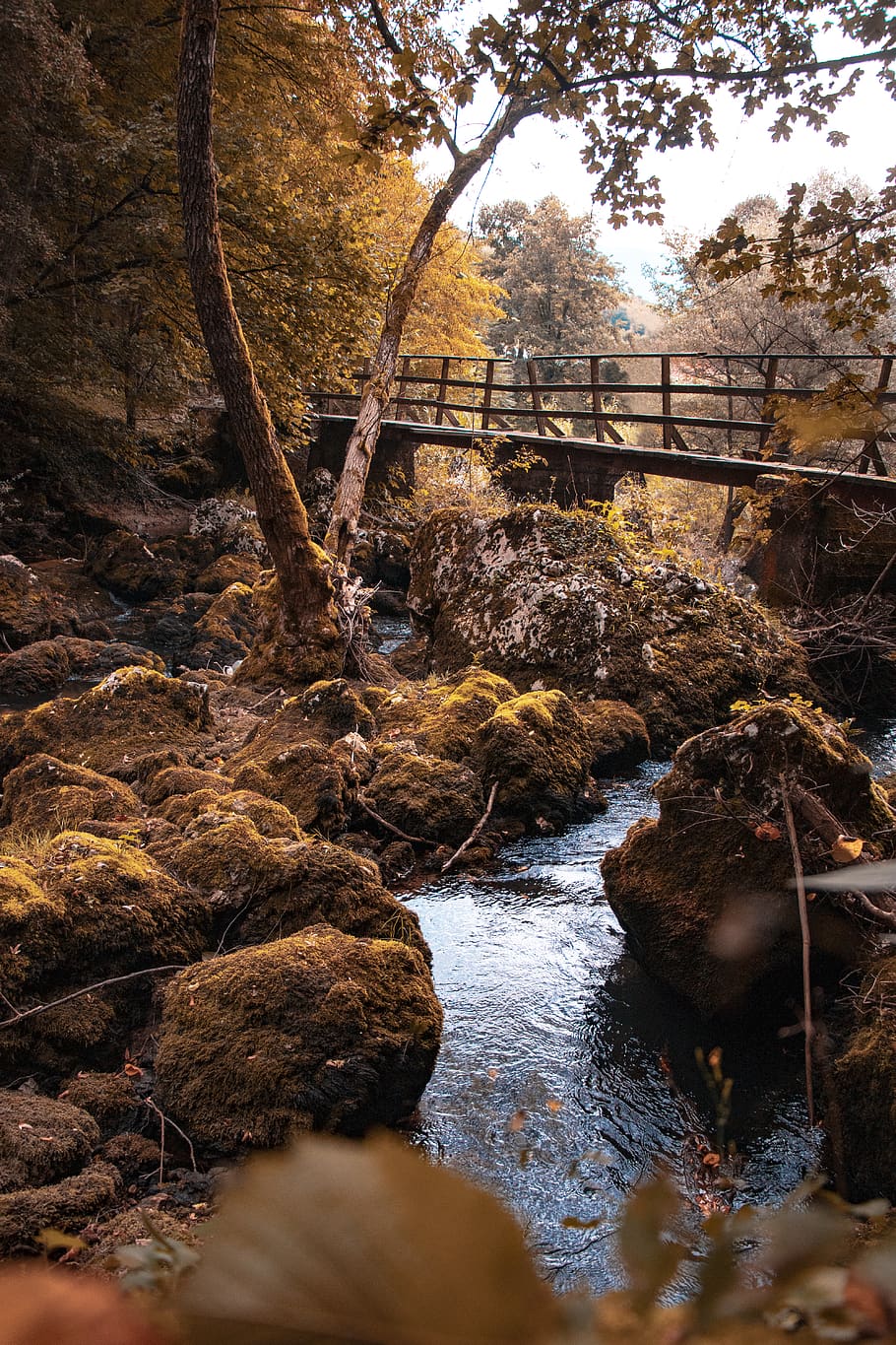 lake under bridge near tree, water, nature, outdoors, creek, stream HD wallpaper