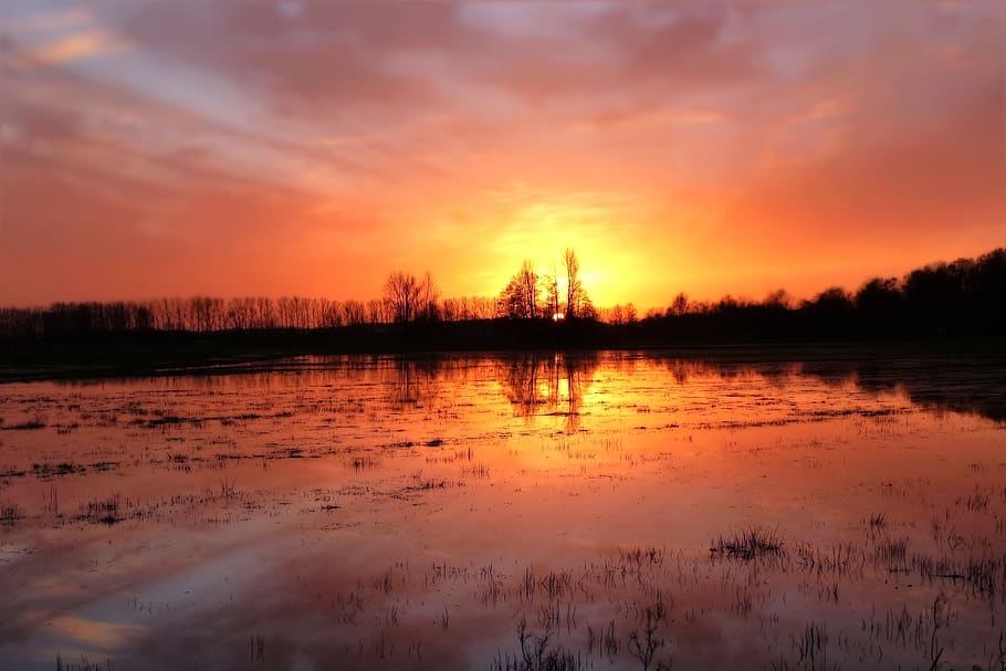 Silhouette Photography of Lake and Trees, backlit, clouds, dark HD wallpaper