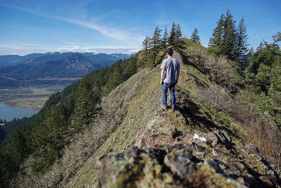 pnw, oregon, river, forest, tree, hiking, mountain, leisure activity HD wallpaper