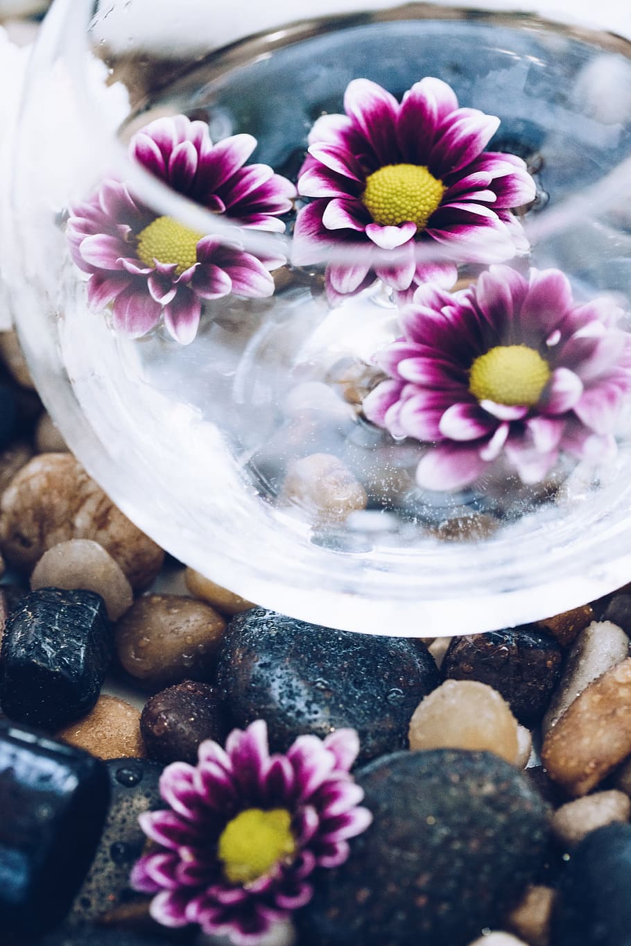 Bowl Of Flowers On Stone Photo, Makeup, Relax, Rocks, Spring HD wallpaper