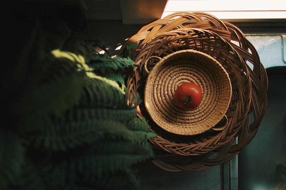 red tomato in basket, holland, united states, fern, indoor, window light HD wallpaper