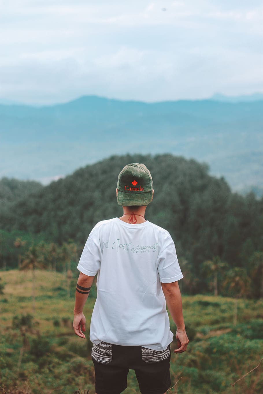 indonesia, forest, trees, frombehind, man, green, indeonesia HD wallpaper