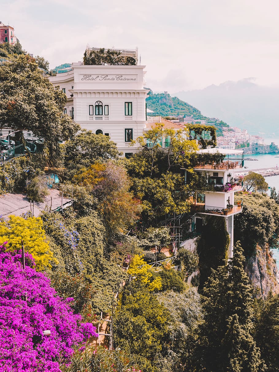 Building With Vines and Canopy in a Distance of Body of Water HD wallpaper