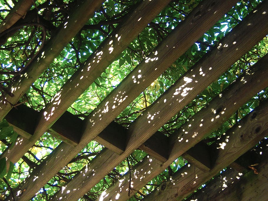 leaves, sun, terrace, light, summer, wood, exterior, low angle view HD wallpaper