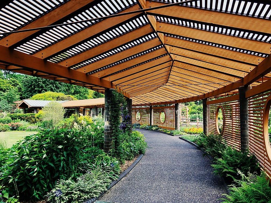 concrete pathway between plants, architecture, built structure HD wallpaper