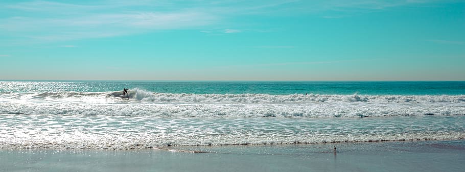 surf, water, ocean, bird, sun, style, lifestyle, blue, wave HD wallpaper
