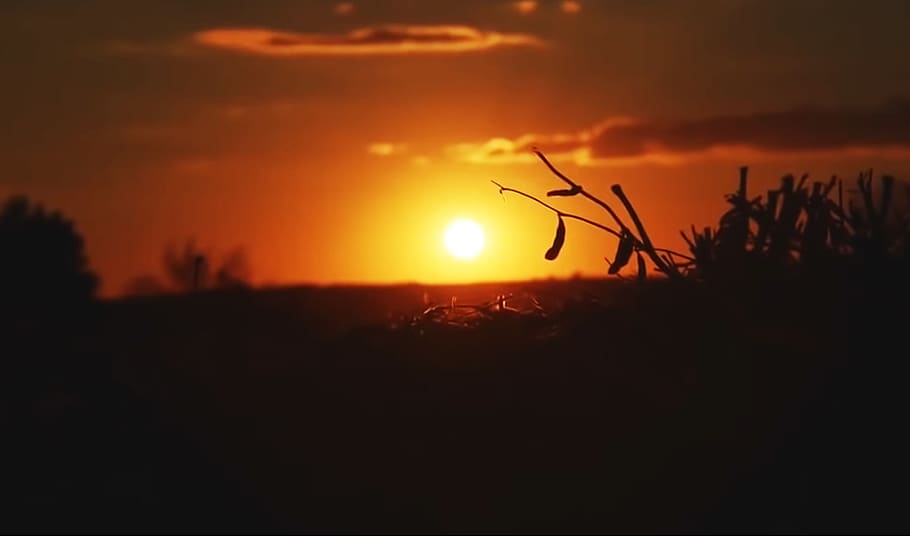 sunset, landscape, clouds, light, sky, orange, yellow, silhouette HD wallpaper