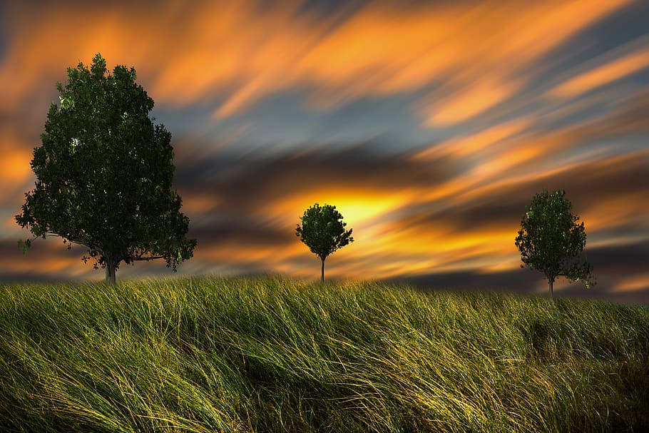 trees, sky, landscape, nature, clouds, sunset, scenic, beautiful HD wallpaper