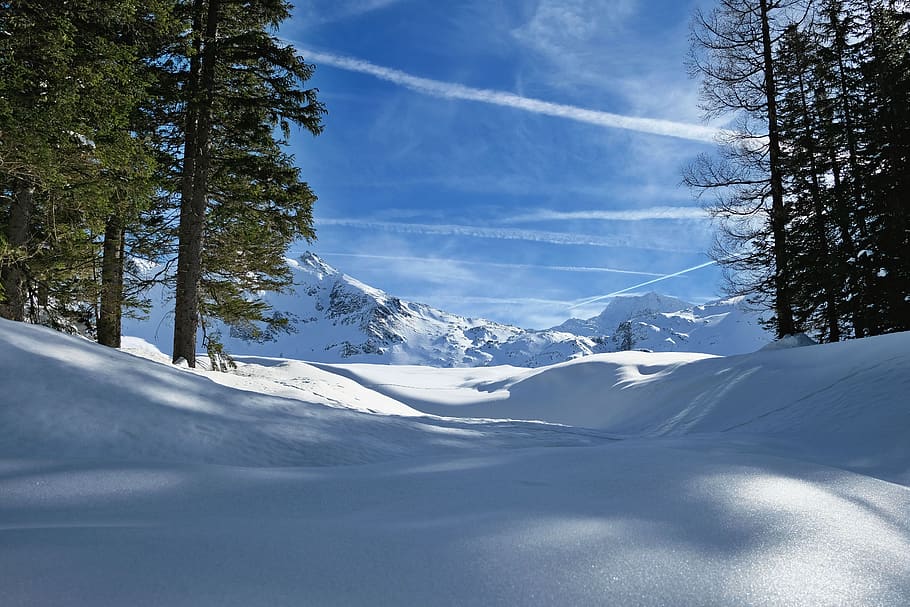 nature, landscape, wintry, winter, deep snow, dream winter HD wallpaper