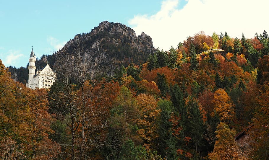 Falling castle. Север замки осень. Orman замки в Москве. Замок Fall pay. Castle Falls.