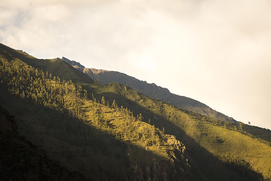 peru, mountains, forest, sunlight, dark, shadows, trees, dawn HD wallpaper