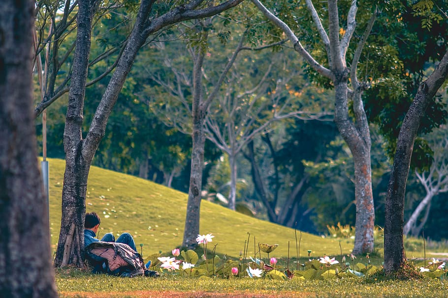 park, musing, thoughtfulness, meditation, lonely, people, thinking HD wallpaper
