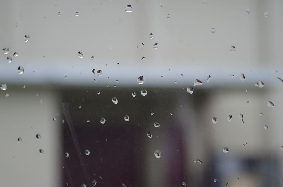 canada, langley, drop, wet, water, rain, glass - material, transparent HD wallpaper