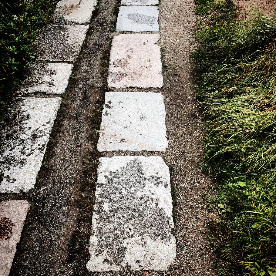 japan, kyoto, path, walk, stone, day, plant, high angle view