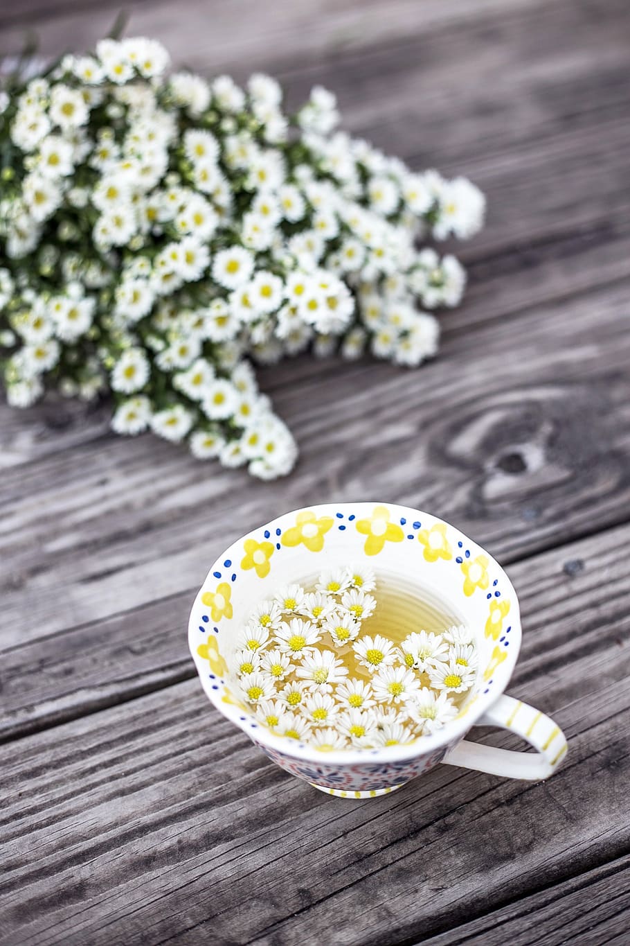 bloom, blossom, chamomile, cup, flora, flowers, mug, tea, freshness HD wallpaper