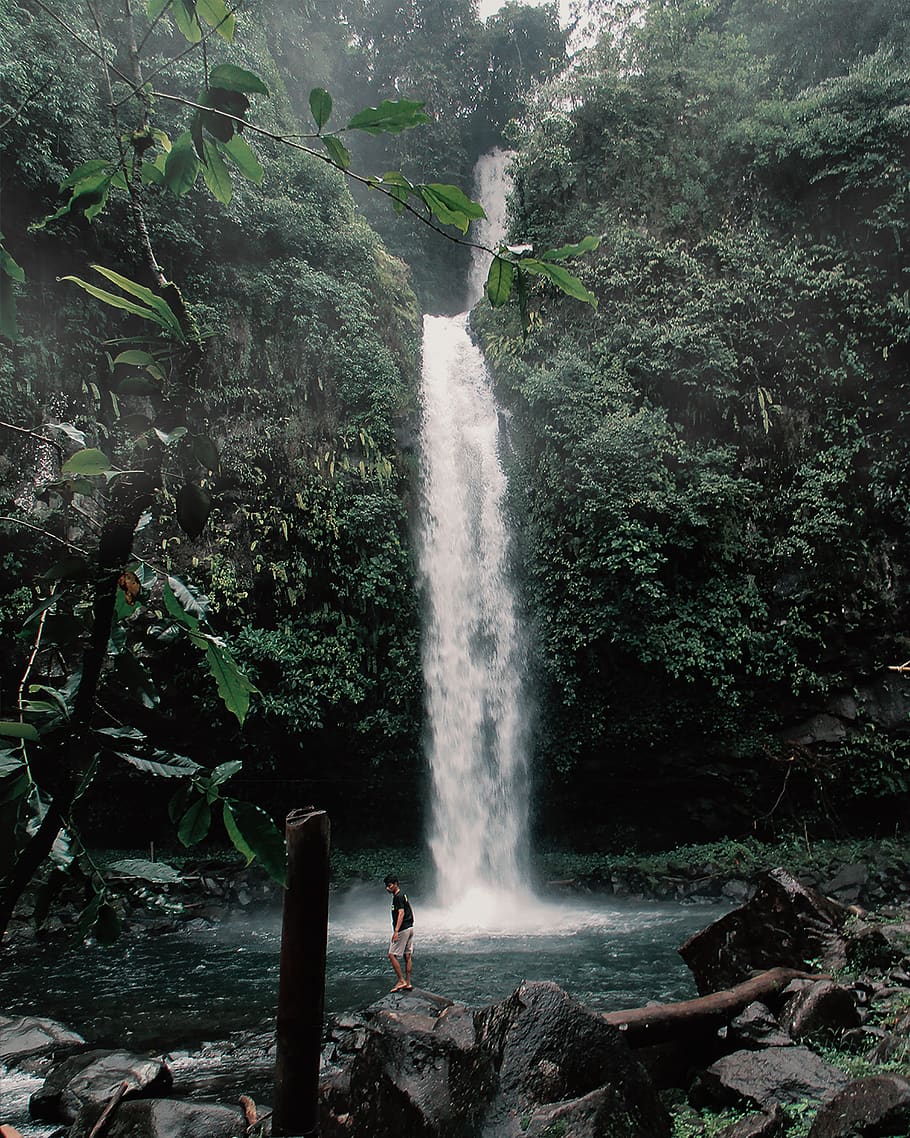 Man Standing in Front of Waterfalls, environment, forest, jungle HD wallpaper