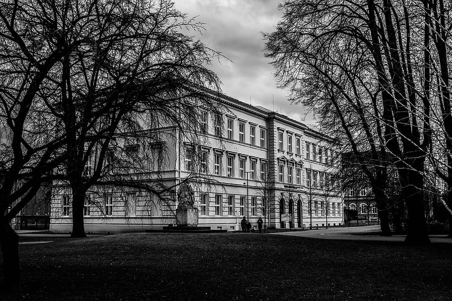 Black and White Picture of Building Surrounded by Trees, architecture HD wallpaper
