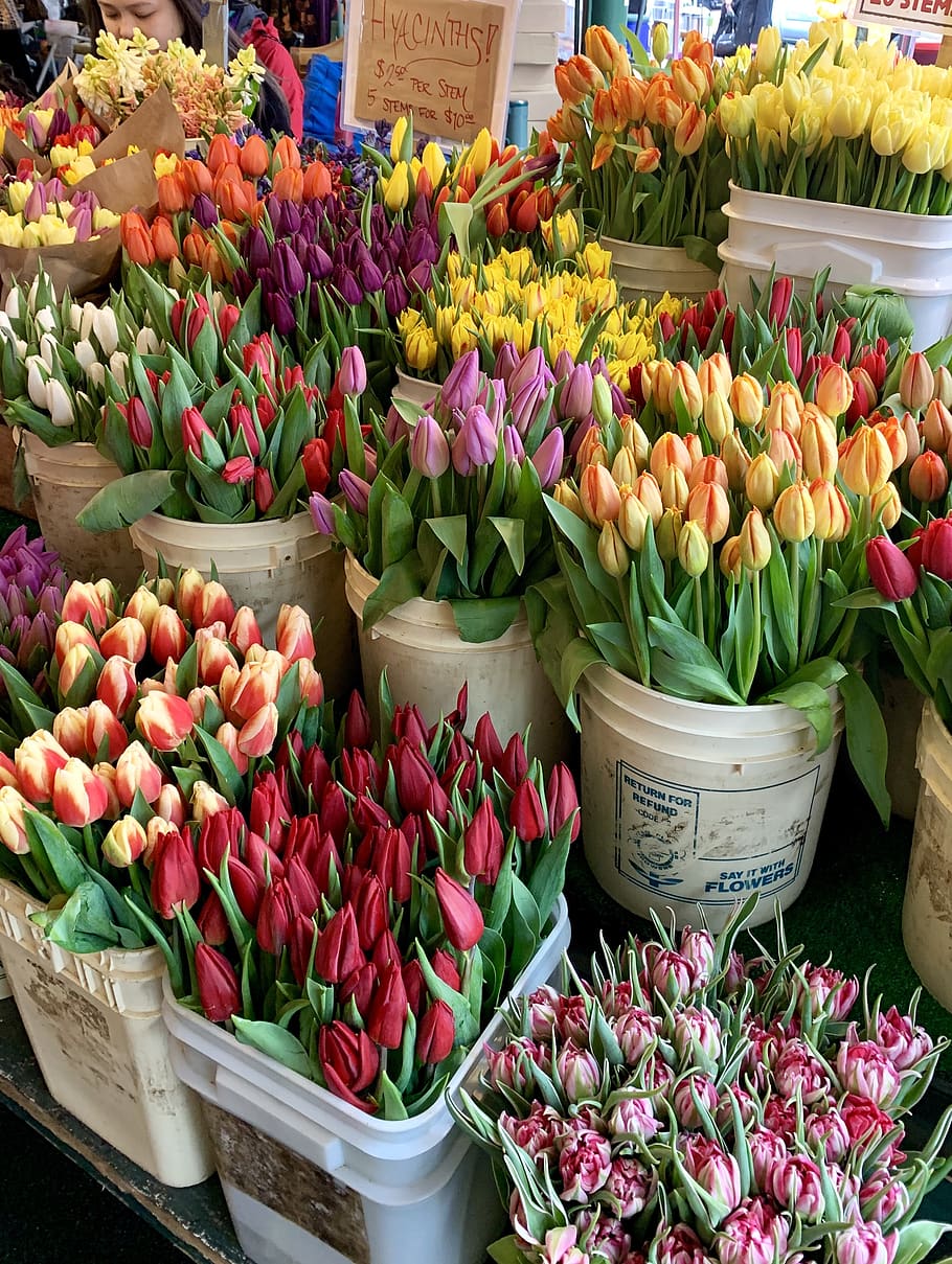 tulips, flowers, bouquets, bloom, market, spring, spring flowers