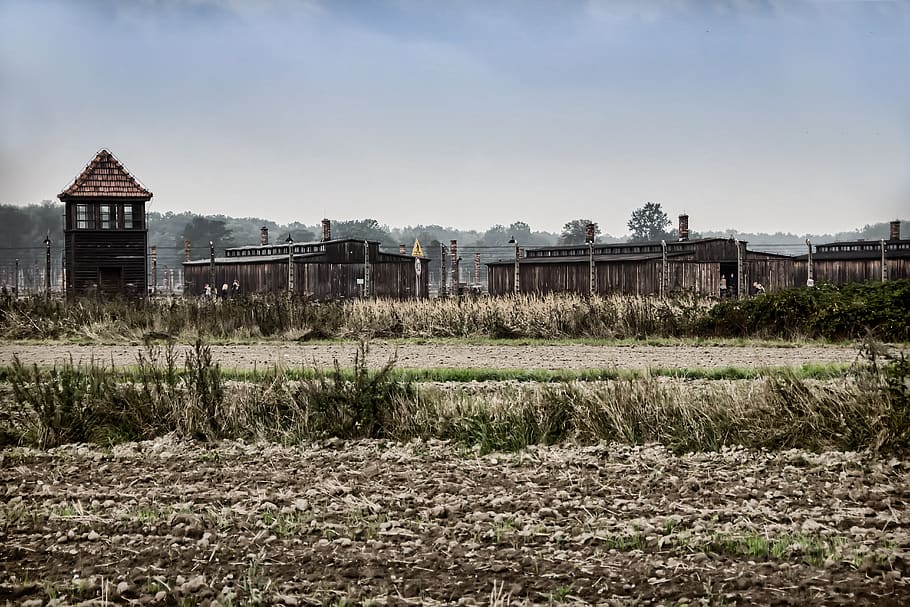 auschwitz 2, brezinka, poland, the holocaust, camp, museum, HD wallpaper