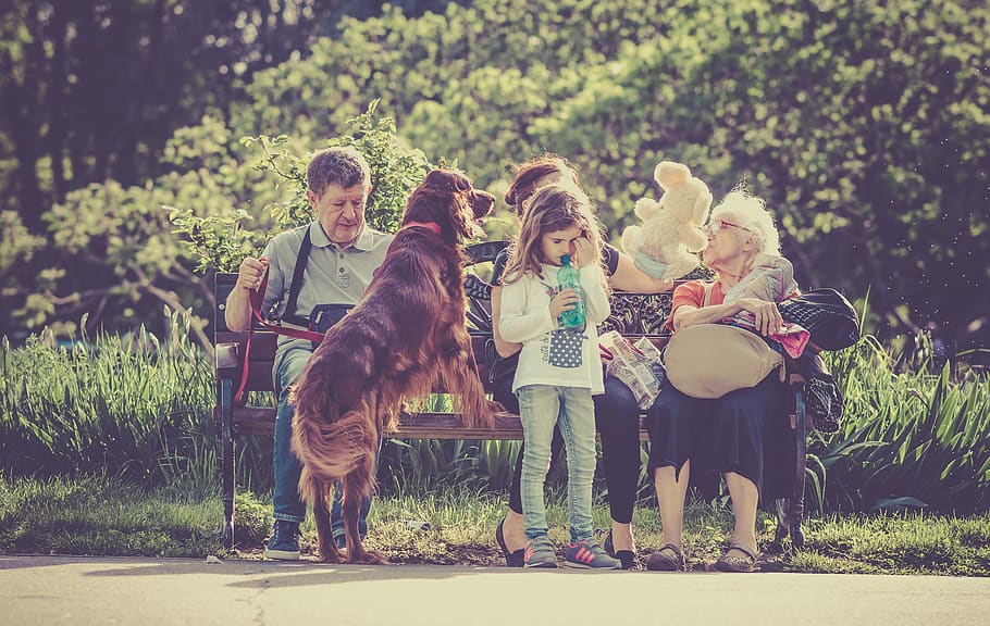#kid, #smile, #forest, #park, #dog, #family, mammal, child HD wallpaper