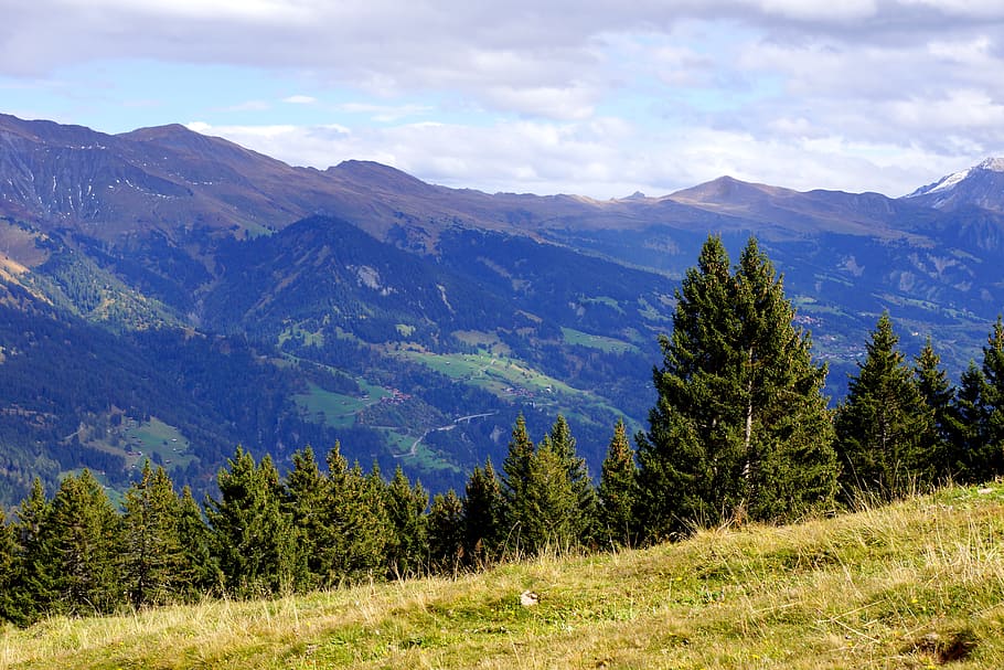 green pine trees under cloudy sky, meadow, mountain, landscape HD wallpaper