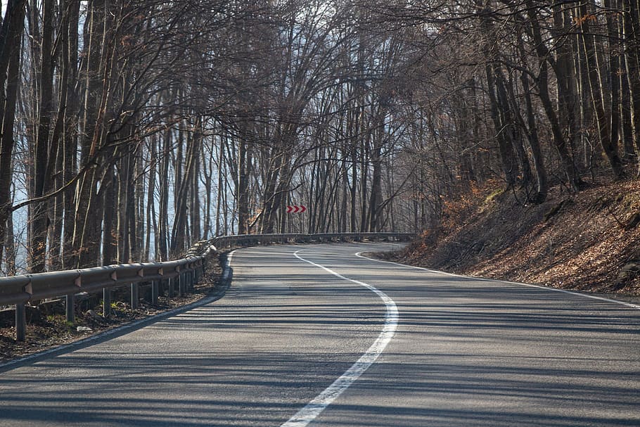 forest, trees, nature, road, transylvania, direction, the way forward HD wallpaper