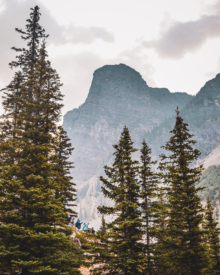 Photo of Trees Near Rocky Mountain, adventure, clouds, environment HD wallpaper