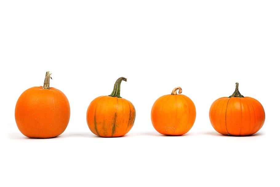 Pumpkins, ingredient, minimal, minimalistic, orange, simple, simplistic