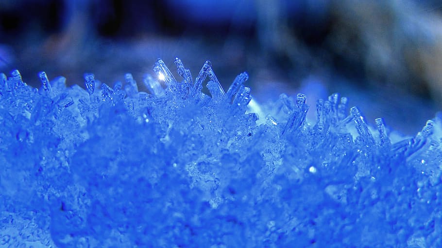 snow, ice, winter, cold, frozen, nature, crystals, snowflake HD wallpaper