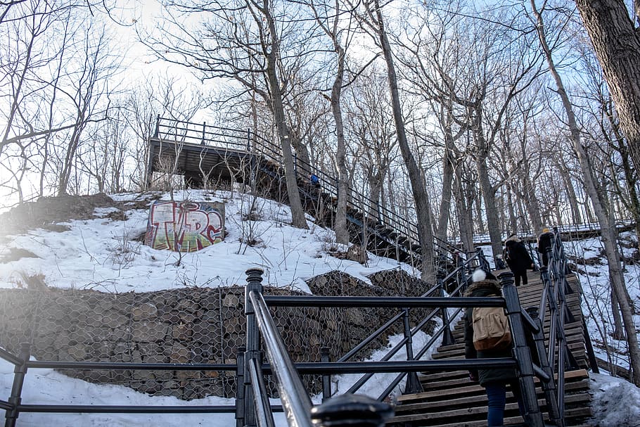 canada, montréal, chalet du mont-royal, winter, stairs, snow, HD wallpaper