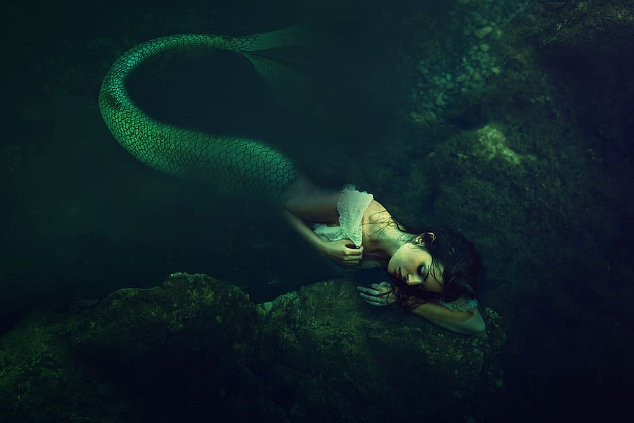 woman, mermaid, fantasy, mythology, sirens, ocean, creature, HD wallpaper