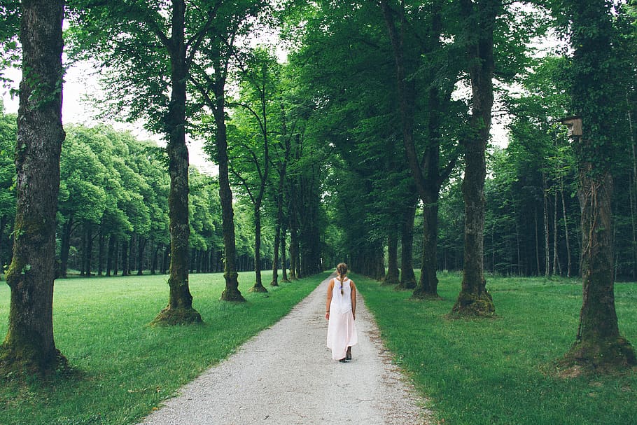 germany, trees, forest, road, tree lined road, women, perspective HD wallpaper