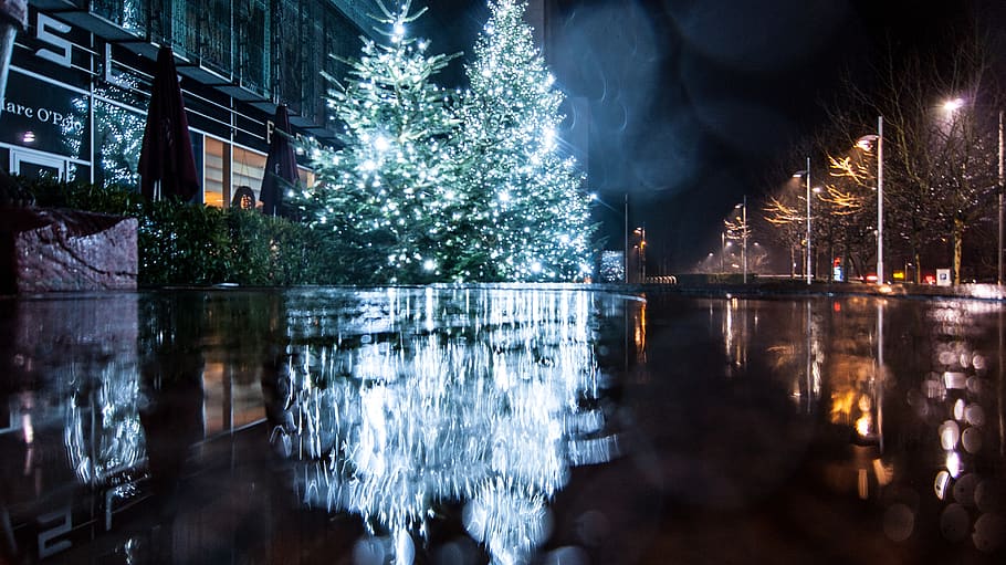 germany, hamburg, building exterior, night, reflection, illuminated HD wallpaper
