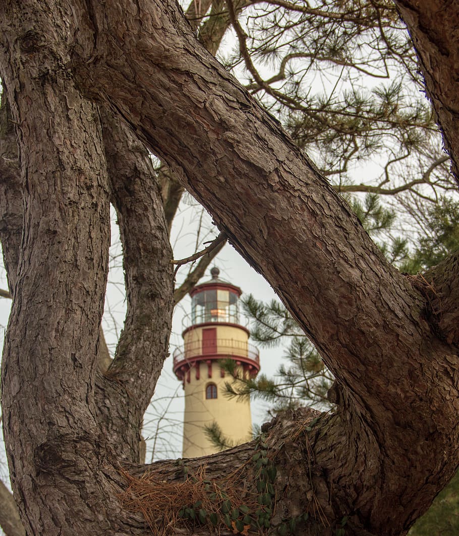 architecture, building, plant, tree, tower, tree trunk, lighthouse HD wallpaper