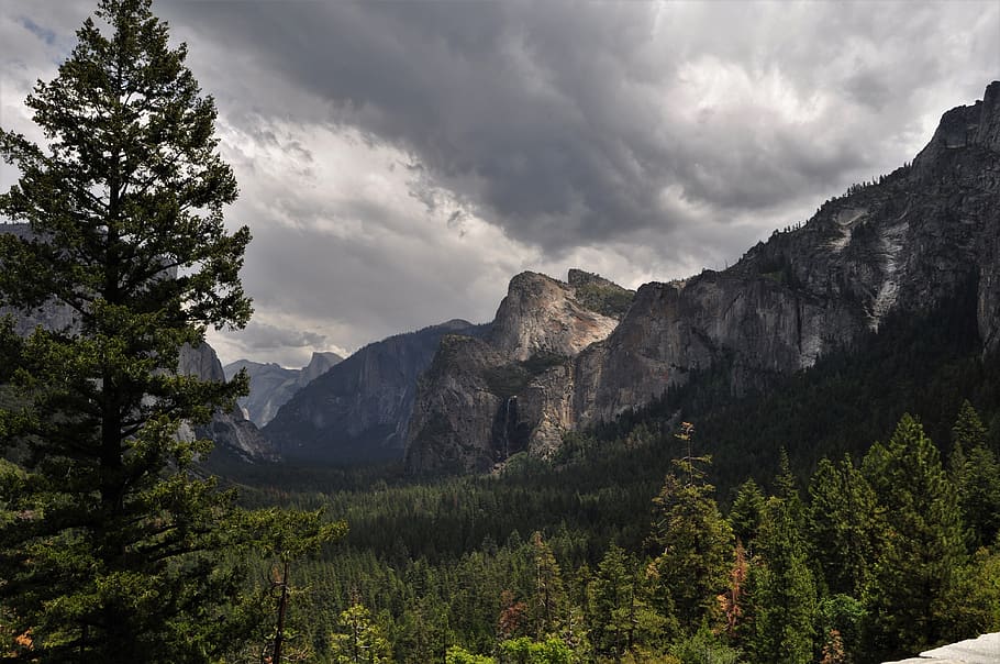 forest, mountains, trees, nature, clouds, landscape, cloud - sky HD wallpaper