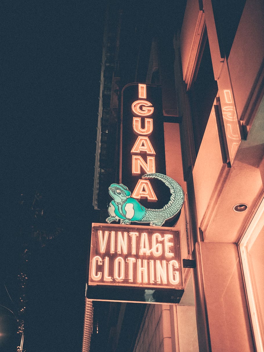 Iguana Vintage Clothing signage, neon, storefront, street art, HD wallpaper