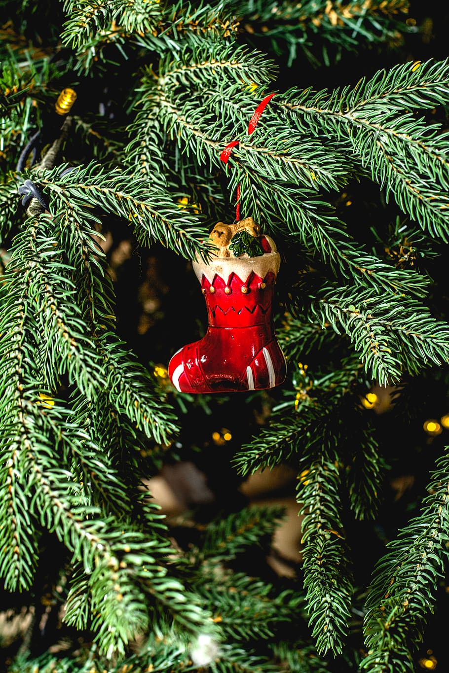 red Christmas stocking hanging decor, plant, tree, abies, fir HD wallpaper