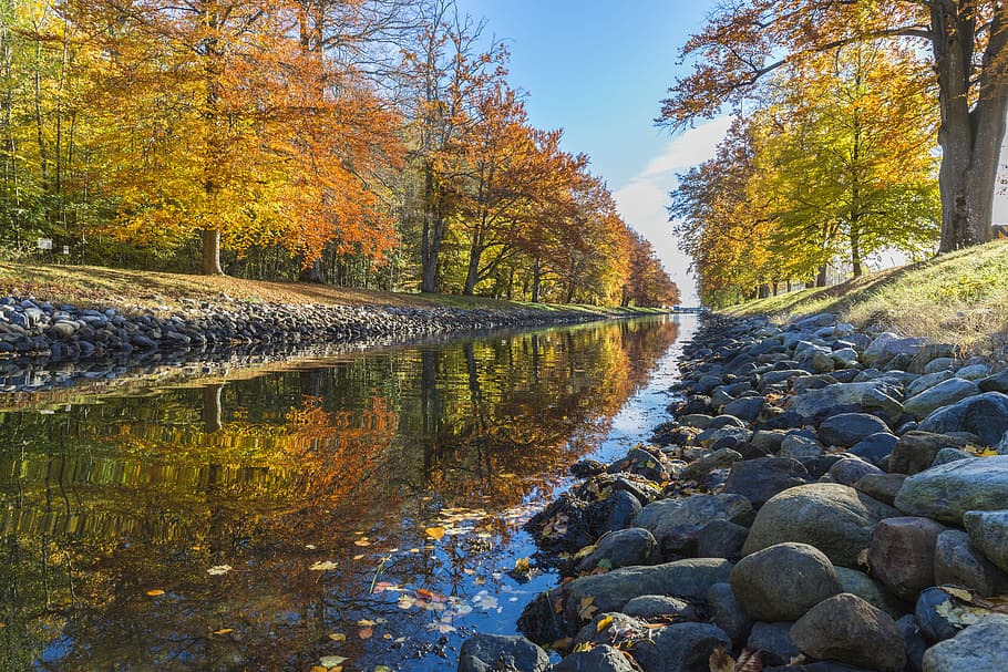 nature, river, trees, plants, autumn, fall, clouds, sky, reflection HD wallpaper